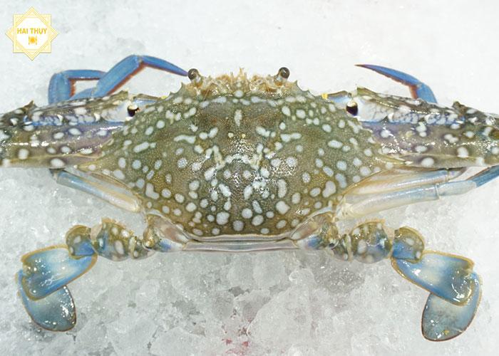 ❈ Ghẹ (Phan Rang)