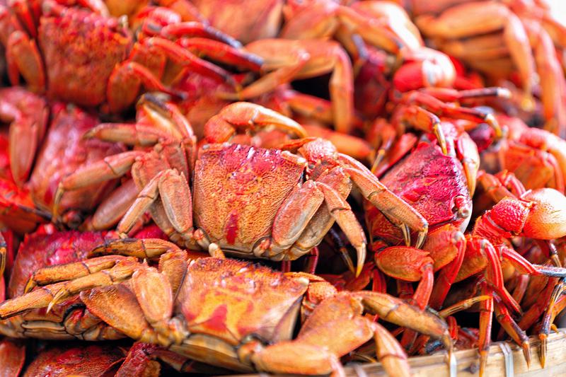 Cơm cháy ba khía món ngon cho buổi tiệc gia đình